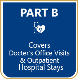 PartB